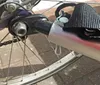Remorque de vélo Remorque de transport Cargo Trailer - Red Voir les images du produit 5