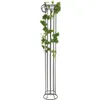EUROPALMS Weingirlande Premium, künstlich, 180cm (82503754) Produktbild-Vorschau 5
