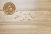 Feuchtigkeitsbeständiger Bodenbelag in Eiche Hell. 
 Produktbild-Vorschau