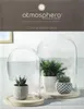 Two glass cloches with plants inside, placed on wooden bases. Produktbild-Vorschau