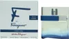 Salvatore Ferragamo F by Ferragamo Free Time EDT 100 ml M Anteprima dell’immagine prodotto 9