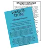 Schungit (Shungite) Rohsteine für Edelsteinwasser zum Produktbild-Vorschau 5