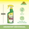 Neudorff Neudorff BioKraft Grundstoff Brennnessel AF 500 ml Produktbild-Vorschau 3