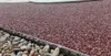 A close-up view of a metal edging strip separating two types of gravel, one larger and lighter colored, the other smaller and red. The edging strip is perforated. Náhľad obrázku produktu