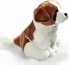 A plush toy dog sitting on a white background. Podgląd zdjęcia produktu