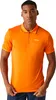 Pánske polo tričko Regatta Remex II s krátkym rukávom Náhľad obrázku produktu 3