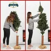 A woman assembling a Christmas tree, showing two stages of the process. Anteprima dell’immagine prodotto