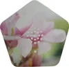 Olymp Nature BOX Produktbild-Vorschau 7