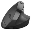 JLab JBUDS ERGONOMIC, Po prawej stronie, Projekt pionowy, Podgląd zdjęcia produktu 11