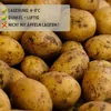 Speisekartoffeln "Probierset", 5x 5kg, beinhaltet die Produktbild-Vorschau 8