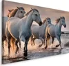 Fabelhafte Canvas LEINWAND BILDER 120x80 cm XXL Kunstdruck Produktbild-Vorschau 1