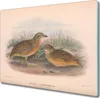 Coloray Schneidebrett Herdabdeckplatte 60x52 cm Produktbild-Vorschau 1