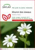SAFLAX  - Mouron des oiseaux - 1000 graines - Stellaria Voir les images du produit 1