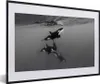 MuchoWow® MuchoWow® Gerahmtes Poster Orca - Wasser - Produktbild-Vorschau 1