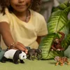 schleich Wild Life "Asien" Starter-Set, 3 Jahr(e), Produktbild-Vorschau 7