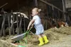 A young girl in a barn is pushing a wheelbarrow filled with hay, with cows in the background. Produktbild-Vorschau