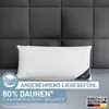 Daunenkissen 80x80 cm 3-Kammerkissen Kopfkissen Kissen Produktbild-Vorschau 2