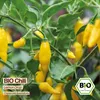 Samenliebe  Chili Samen | Lemon Drop - gelb & zitronig, Produktbild-Vorschau 4