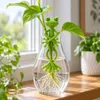 Lot de 10 clips flexibles pour plantes – FROGTIE Voir les images du produit 2