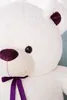 Close-up of a white teddy bear's face with a purple ribbon. Produktbild-Vorschau