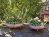 Shabby Chic Dekoschale Mireille Shabby Dekoschale Mireille Produktbild-Vorschau 6