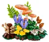 Champignons de forêt Voir les images du produit 8