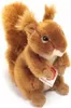 Eichhörnchen, 17 cm, Plüsch, 1 Stück Produktbild-Vorschau 6
