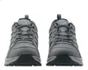Lowa Innox Evo II GTX Lo Wanderschuh Grau Produktbild-Vorschau 13