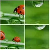 Bild auf Leinwand - Leinwandbild - Marienkäfer Wasser Grün Produktbild-Vorschau 8