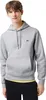 Lacoste Kapuzenpullover mit aufgesticktem Logo, Grau L Produktbild-Vorschau 11