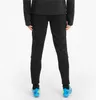 PUMA teamLIGA Spodnie treningowe PUMA BLACK-PUMA WHITE M Podgląd zdjęcia produktu 6