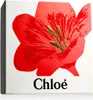 Chloe Nomade Geschenkset Eau de Parfum  50ml + Body Lotion Produktbild-Vorschau 9