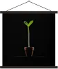 MuchoWow® Textilposter Eine junge Sonnenblume in einem Produktbild-Vorschau 1