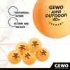 GEWO Tischtennisbälle Outdoor 40+, 6er Set, wasserabweisend Produktbild-Vorschau 5
