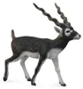 Statuetta di antilope blackbuck dipinta a mano Anteprima dell’immagine prodotto 2