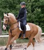 Waldhausen Safety Rein Vorderzeug  Cob / Full  Cob / Full Produktbild-Vorschau 2