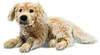Steiff Kuscheltier Golden Retriever Andor Hellbraun (45cm) Produktbild-Vorschau 1