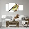 Bild auf Leinwand - Leinwandbild - 4 Teile - Stieglitz Produktbild-Vorschau 6