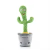 Cactus dansant et parlant rechargeable avec musique et LED Voir les images du produit 6