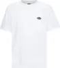 DICKIES - T-shirt uomo Summerdale - Taglia L Anteprima dell’immagine prodotto 15