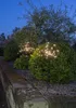 LED Solar-Dekoration 2er Pack "Firework" schwarz 45 Produktbild-Vorschau 7