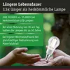 Paulmann Eco-Line Filament 230V LED Tropfen 1er-Set 100mm Produktbild-Vorschau 5