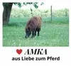 Western Sattelgurt für Pony c. 58 cm  Western Schnurengurt  Produktbild-Vorschau 5