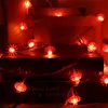 Guirlande lumineuse chinoise rouge - 6m/19,7ft, 40 lumières Voir les images du produit 3