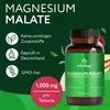 Vitabay Magnesium Malat 1000 mg – 180 vegane Tabletten – Produktbild-Vorschau 3