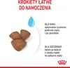 Royal Canin Mini Starter Mother & Babydog 8kg Karma Sucha Podgląd zdjęcia produktu 19
