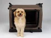 A small, light-colored dog stands in front of a brown, foldable dog crate. Produktbild-Vorschau