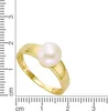 Damen Ring 375 Gold Perle weiß 7,5-8mm (Gr. 56) Produktbild-Vorschau 3