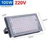 LED diody rostou světlo plné spektrum zeleniny a květin Náhled obrázku produktu 7