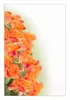 Wallario Wandbild Orangene Rosenblüten im Strauß, Größe: 61 Produktbild-Vorschau 1